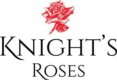 /Knight's Roses