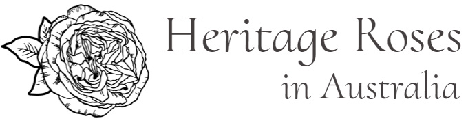 /Heritage Roses in Australia