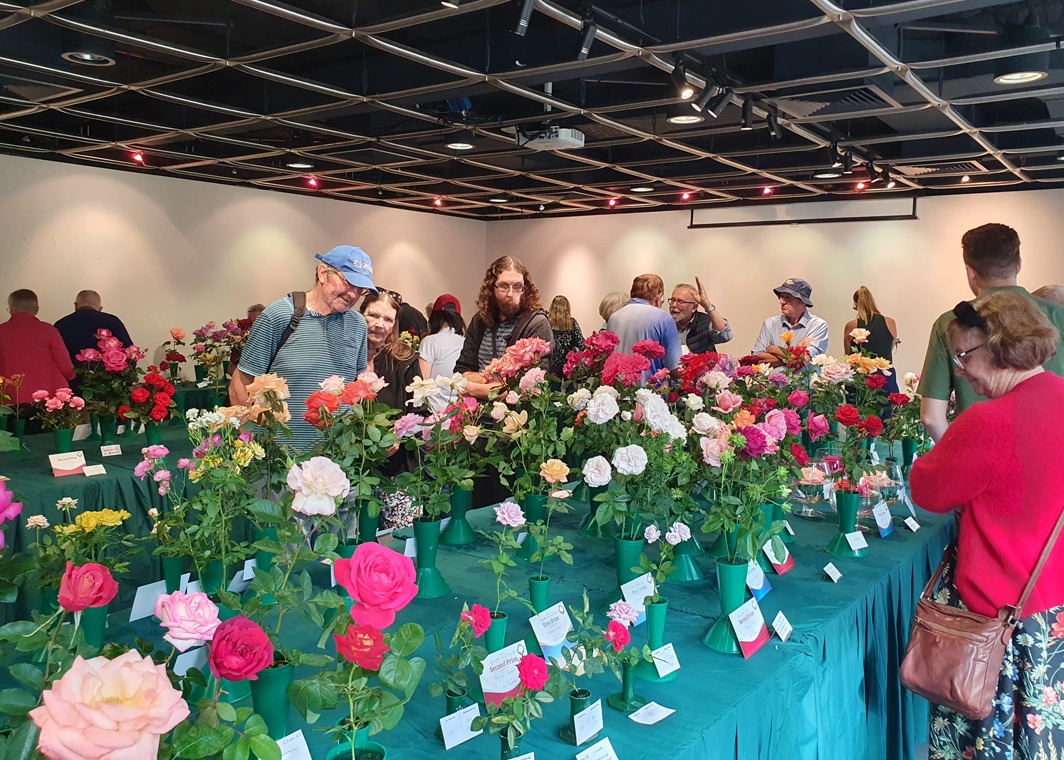 /2026 Autumn Rose Show