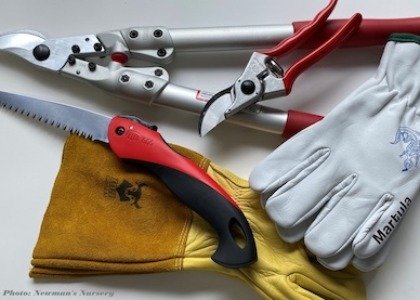 /Pruning Tools