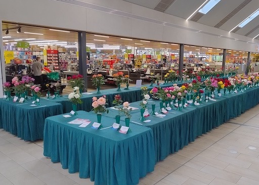 Spring Rose Show 