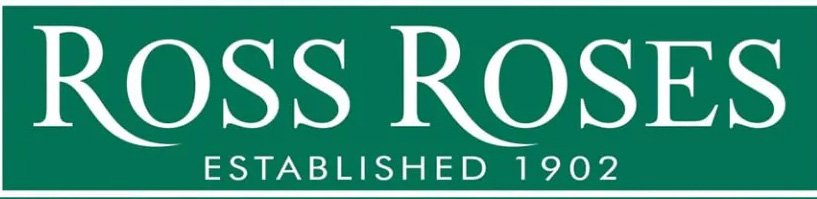 /Ross Roses