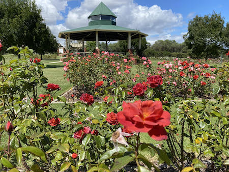 /The Mornington Memorial Garden