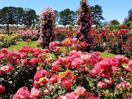 /The Victoria State Garden