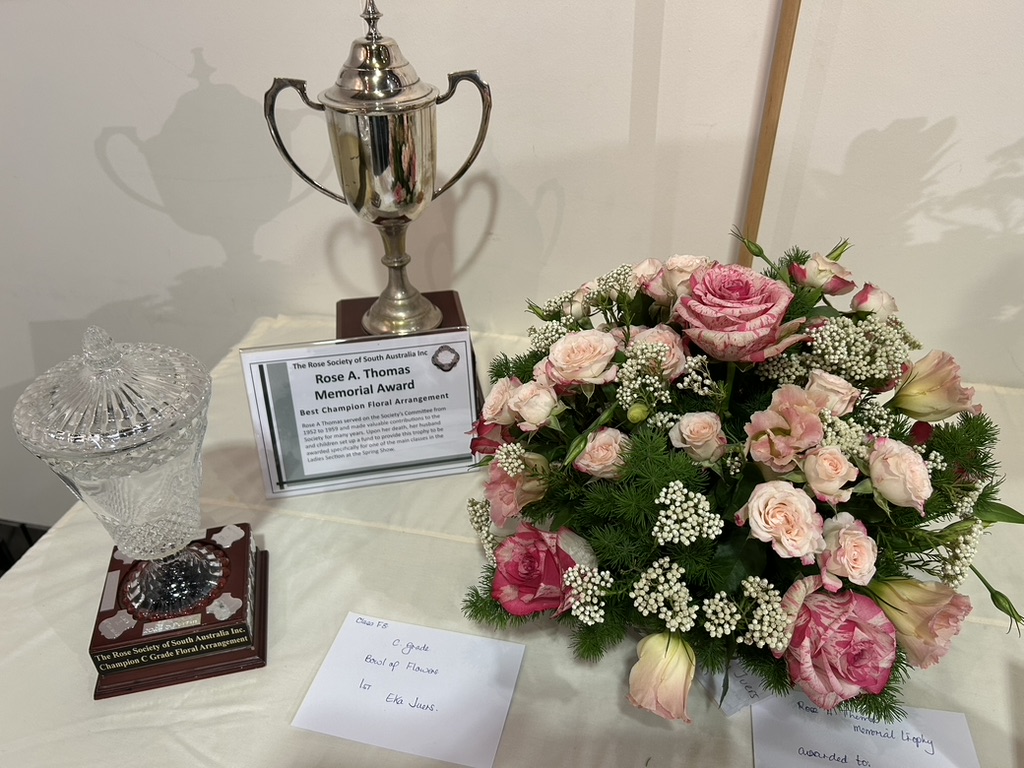 Rose A Thomas Memorial Award