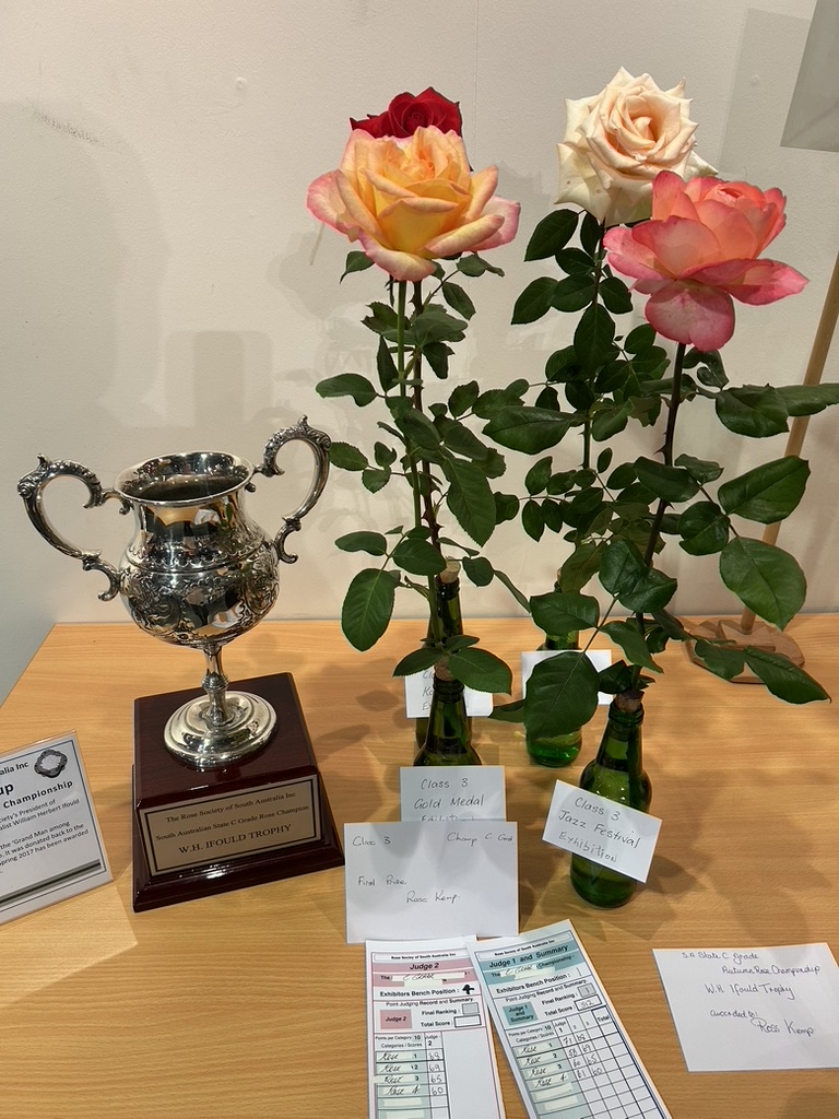 W H Ifould Trophy
