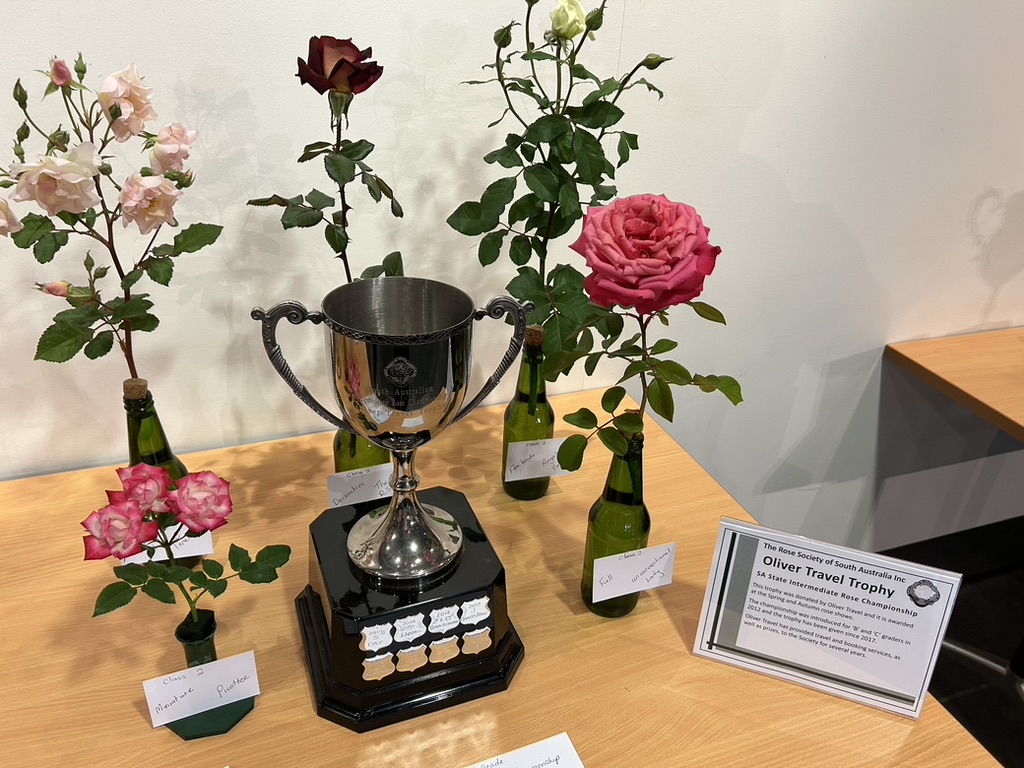 Oliver Travel Trophy
