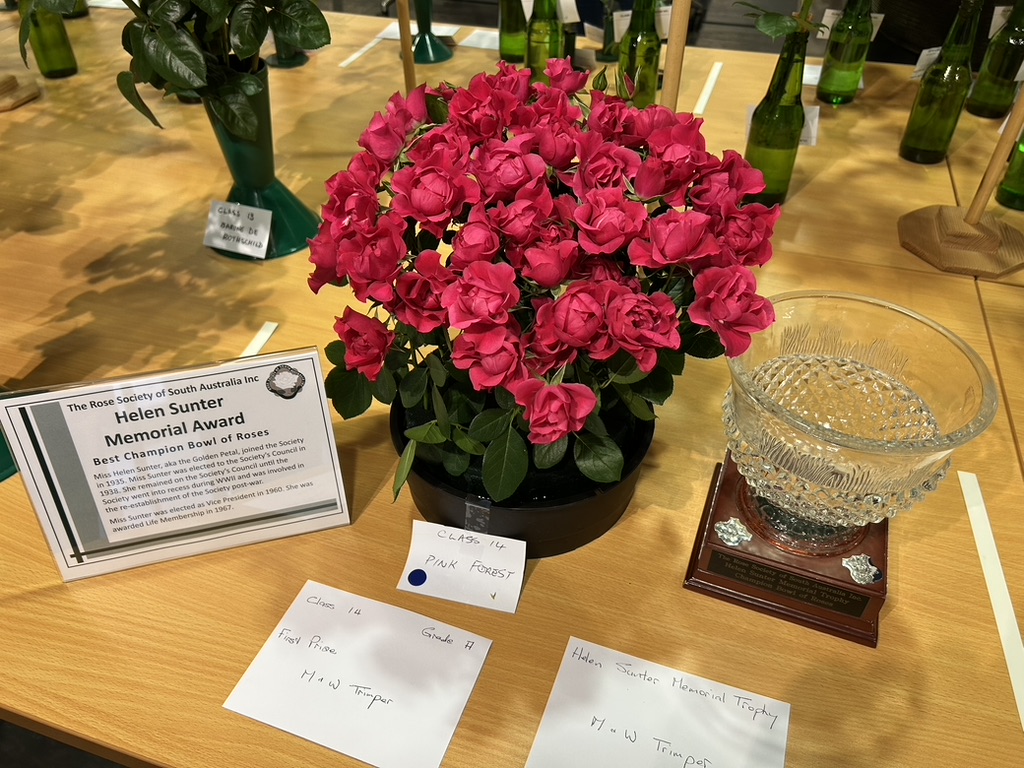 Helen Sunter Memorial Award