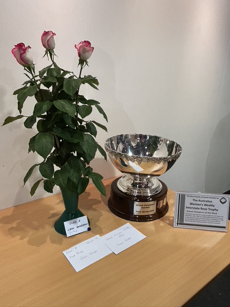 The Australian Women's Weekly Interstate Rose Trophy
