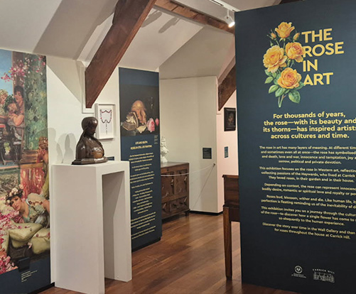 The Rose in Art Carrick Hill
