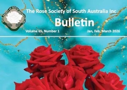 /January February March Bulletin 2026